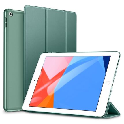 ESR 悅色全透 2021 iPad 9 (10.2 吋) 含磁扣平板保護套, 仙人掌綠