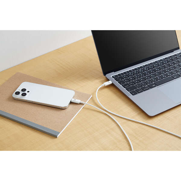 ELECOM 藍色笑臉 支援 USB-C to USB-C 傳輸充電線 1M, 藍