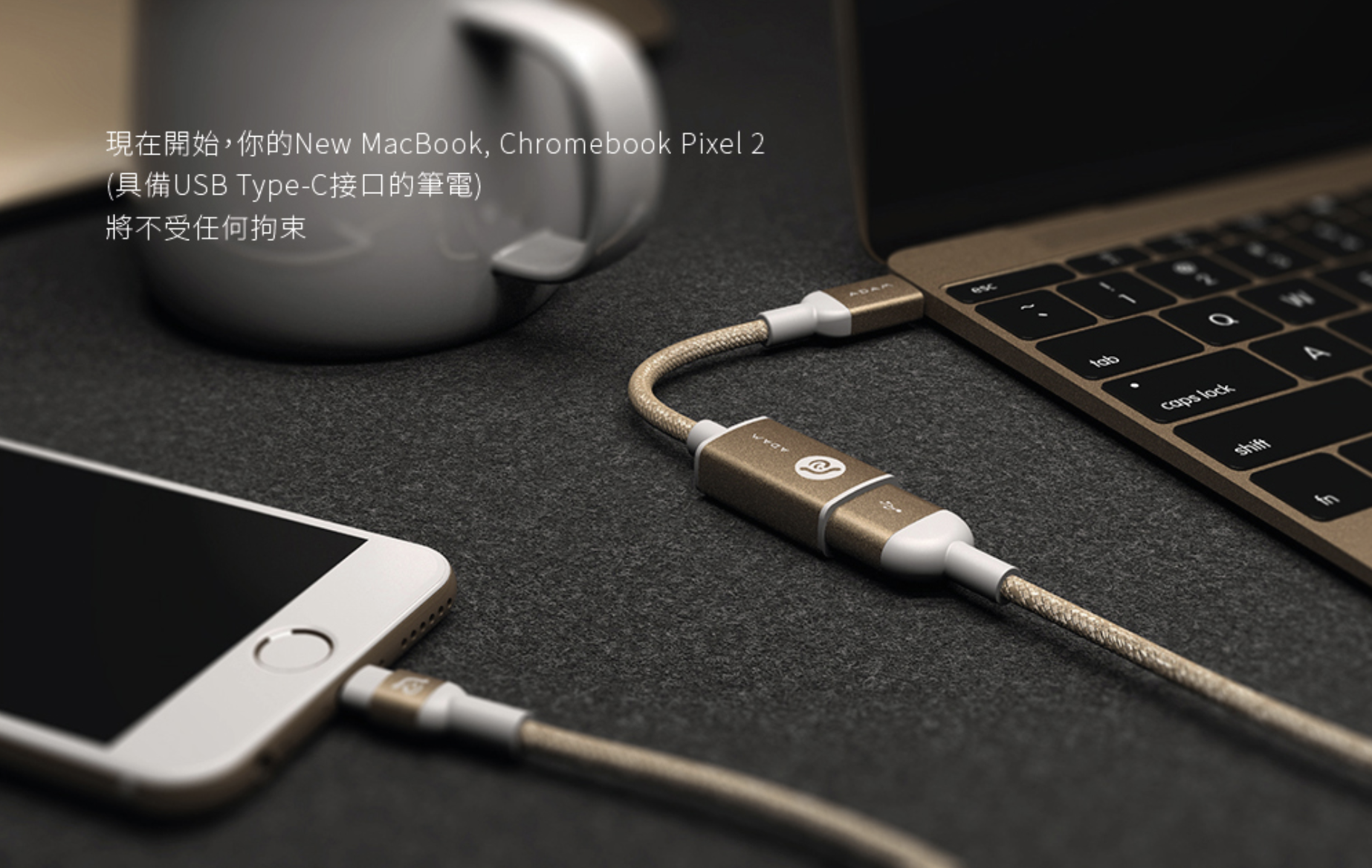 ADAM 亞果元素 HUB F13 支援 USB-C 對USB母座轉接器, 太空灰